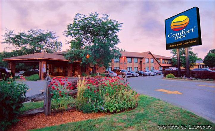 Comfort Inn Simcoe Eksteriør billede